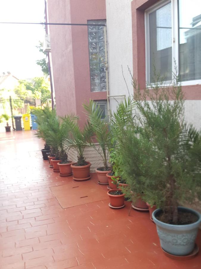 Vila Liz Eforie Nord Ξενοδοχείο Εξωτερικό φωτογραφία