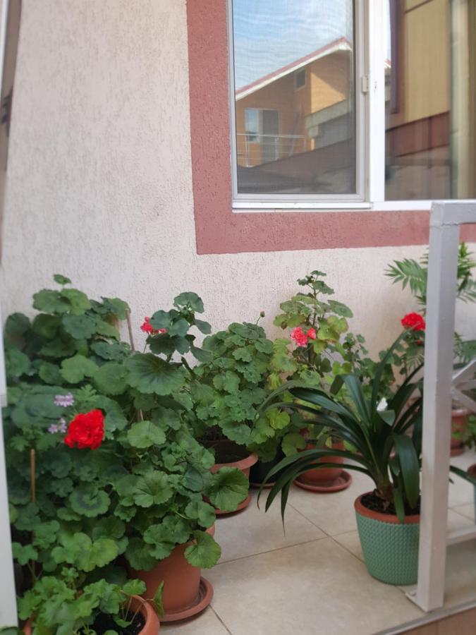 Vila Liz Eforie Nord Ξενοδοχείο Εξωτερικό φωτογραφία