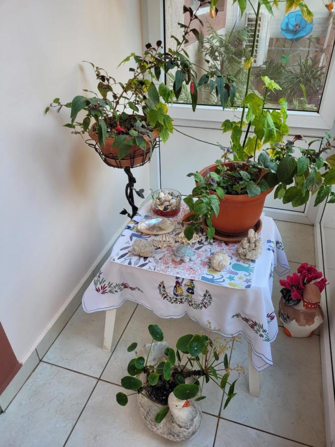 Vila Liz Eforie Nord Ξενοδοχείο Εξωτερικό φωτογραφία